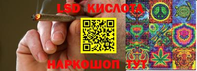 прущие крисы Сланцы