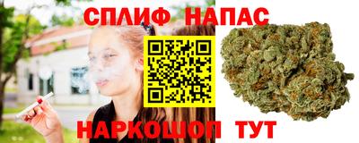 спайс Славгород
