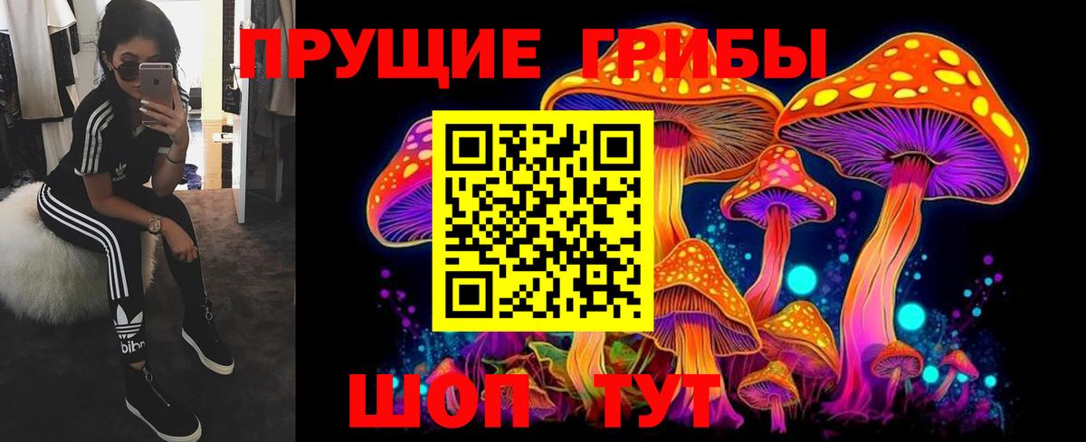 Псилоцибиновые грибы Psilocybe Новочеркасск