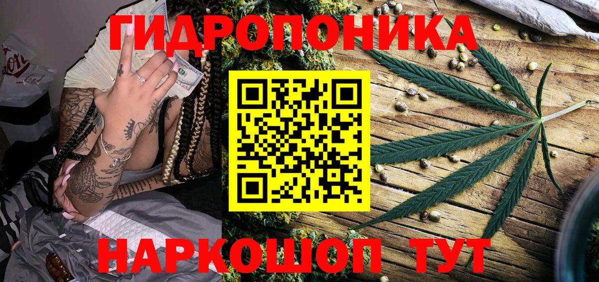 Новочеркасск  Конопля конопля  Вход с VPN  Бошки Шишки сатива  Бошки Шишки индика 